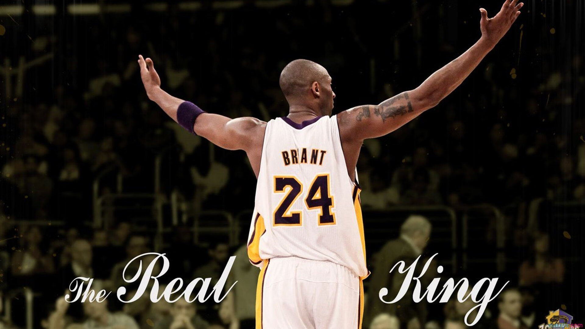 直播平台合作拓展至海外小语种市场,小语种主播招聘